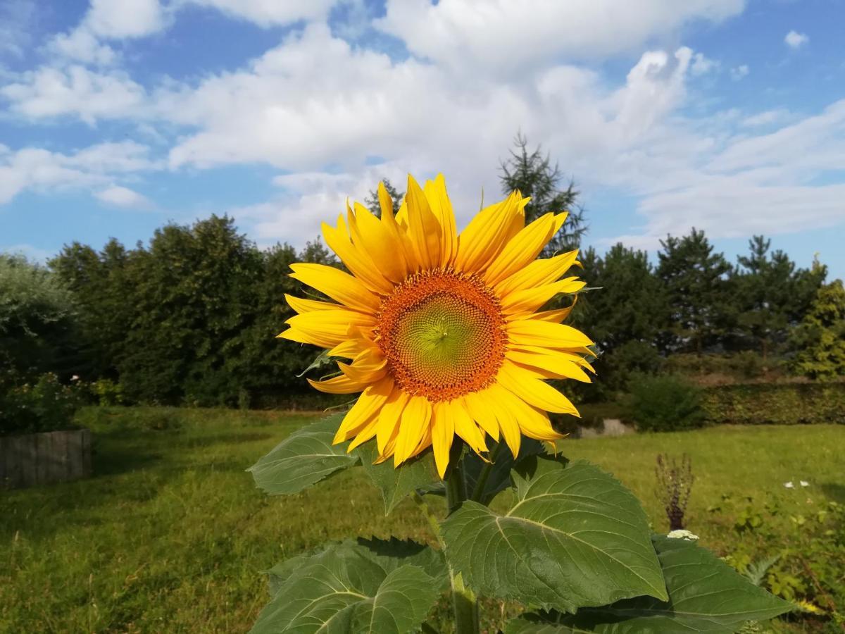 Carpe Diem Mont  외부 사진